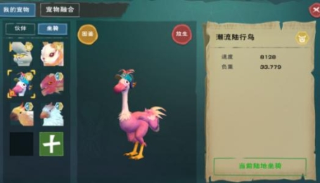 如何在创造与魔法中获得陆行鸟